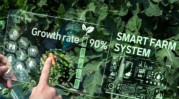 Optimizing plant growth