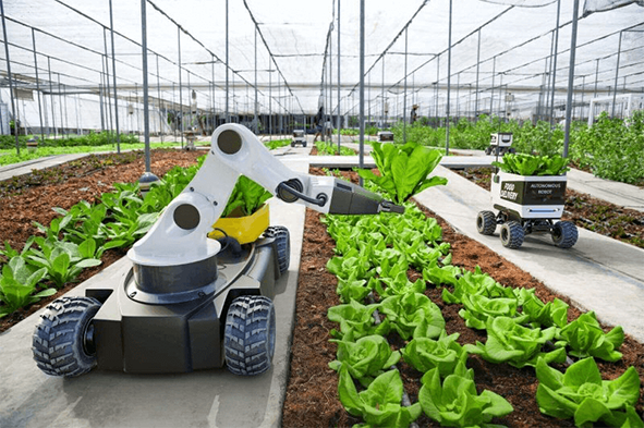Reasons for using smart equipment in agriculture and greenhouses
